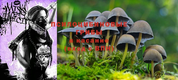 кокаин Аркадак