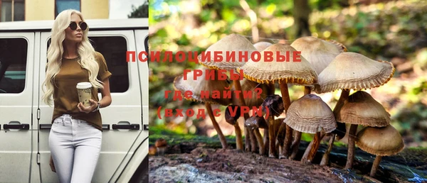 шишки Алзамай