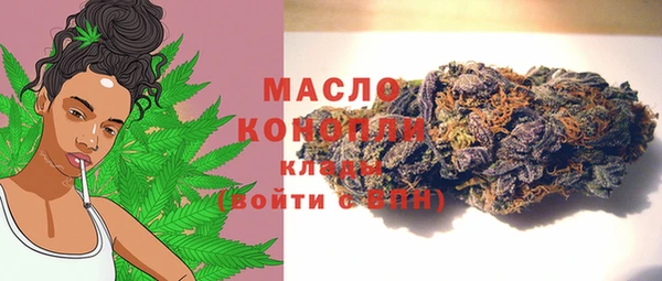 крисы Армянск