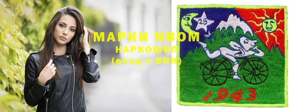 шишки Алзамай
