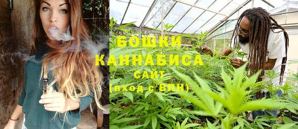 крисы Армянск