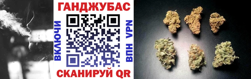 Бошки Шишки Amnesia Могоча